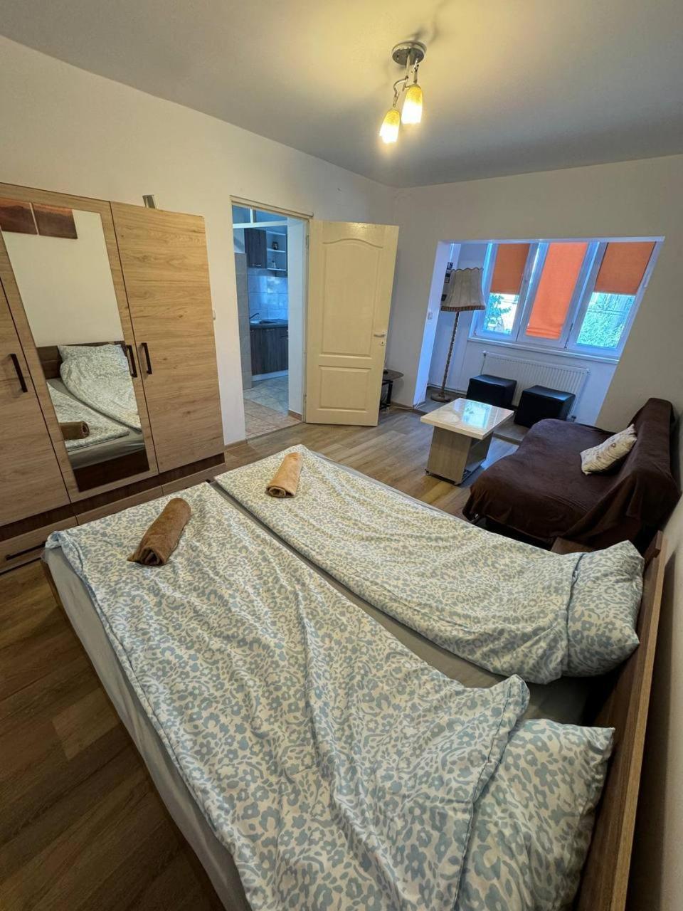 Affordable Apartment Close To The Castle Hunedoara Luaran gambar