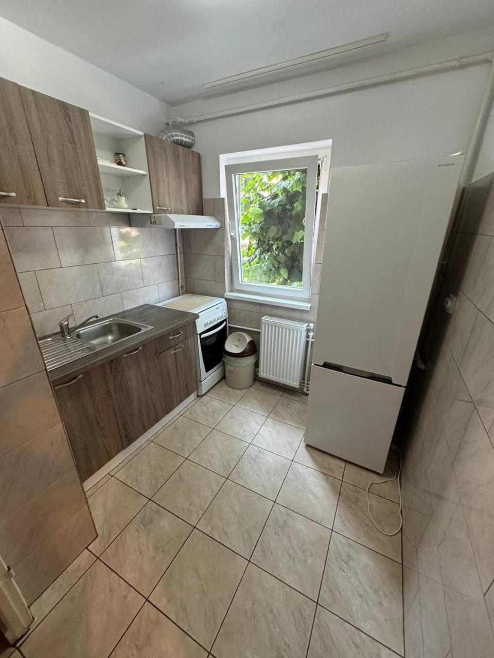 Affordable Apartment Close To The Castle Hunedoara Luaran gambar