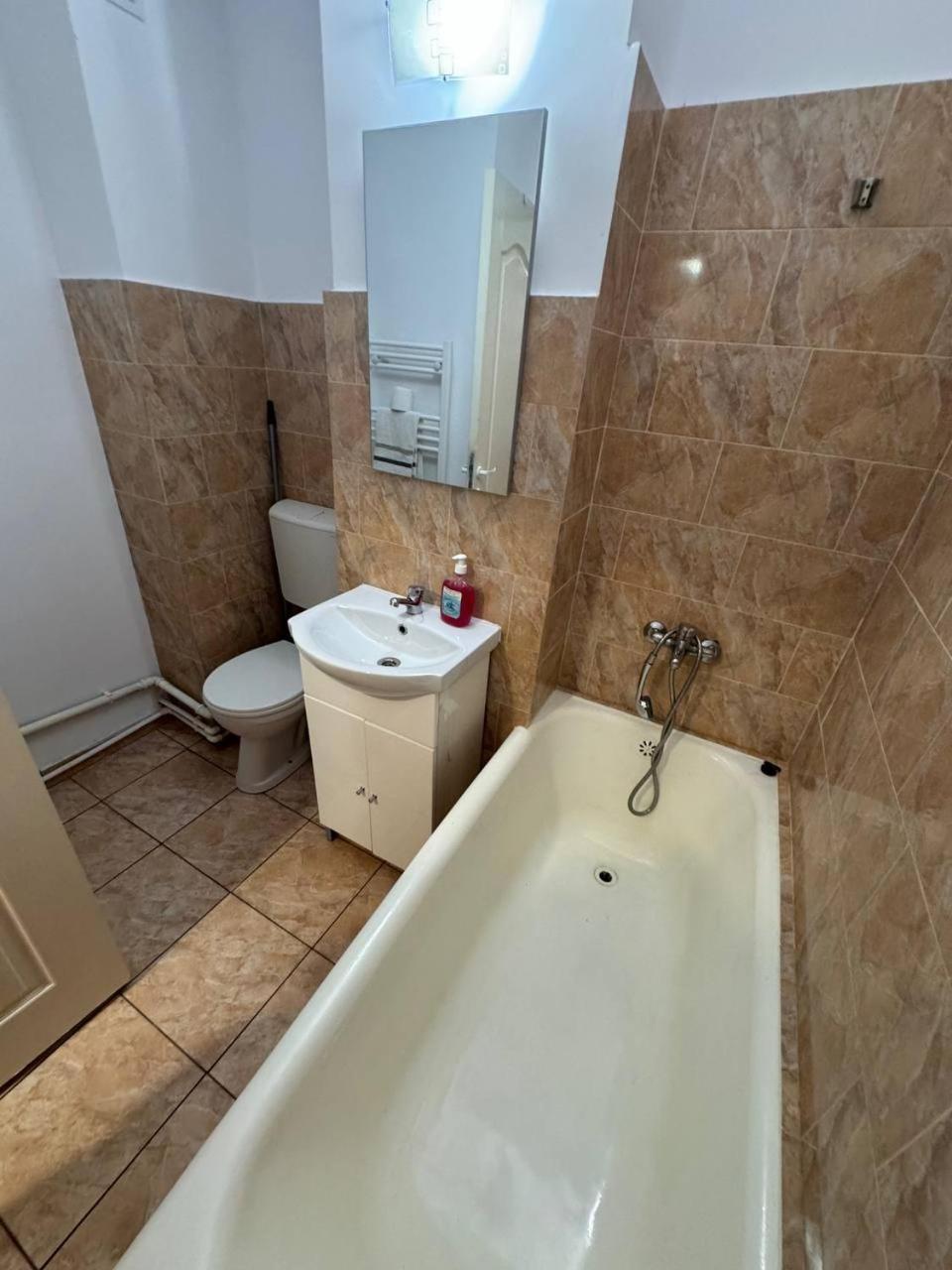 Affordable Apartment Close To The Castle Hunedoara Luaran gambar