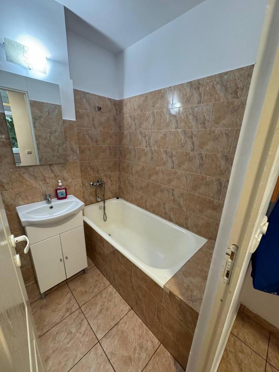 Affordable Apartment Close To The Castle Hunedoara Luaran gambar